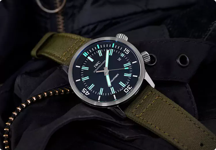 Professional Watch Appraisal in Guelph, ON